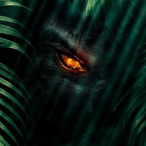 Джунглі: в пошуках скарбів